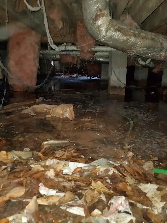 Crawl space flood assessment for Leak Detection & Repair in Cascades